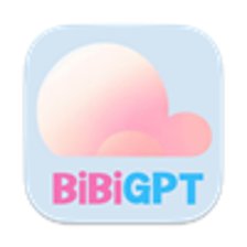 icons/bibiGPT.jpg